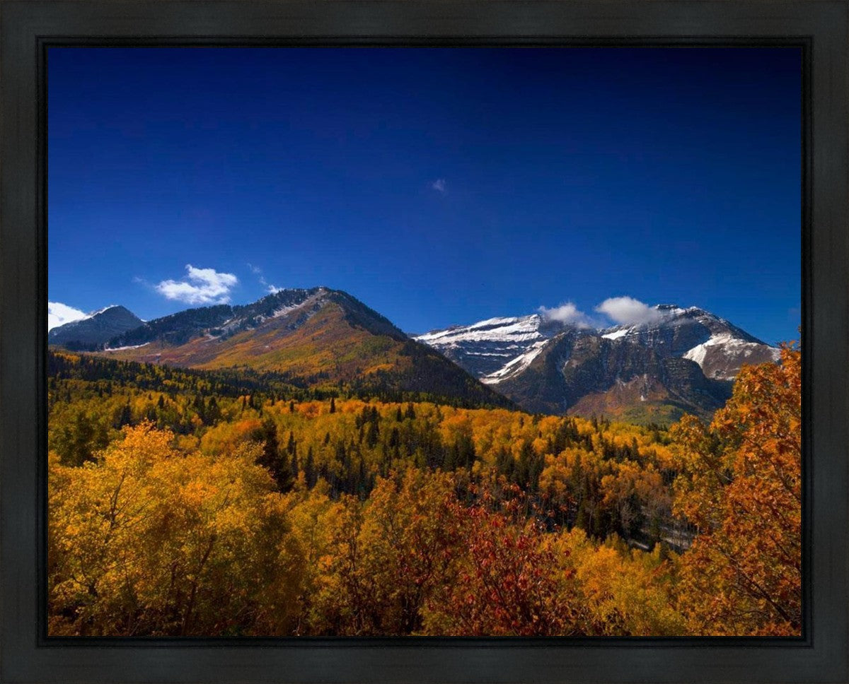 Back Side Of Timpanogos
