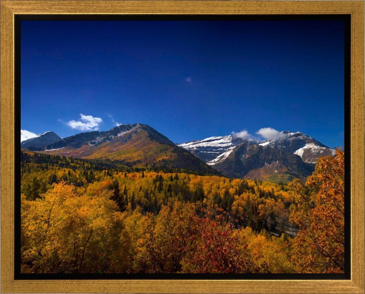 Back Side Of Timpanogos