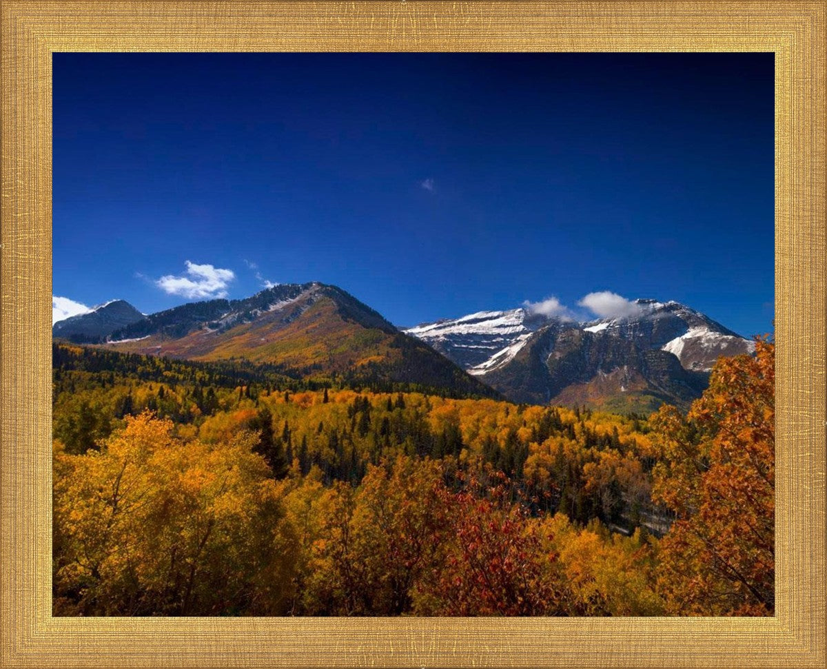 Back Side Of Timpanogos