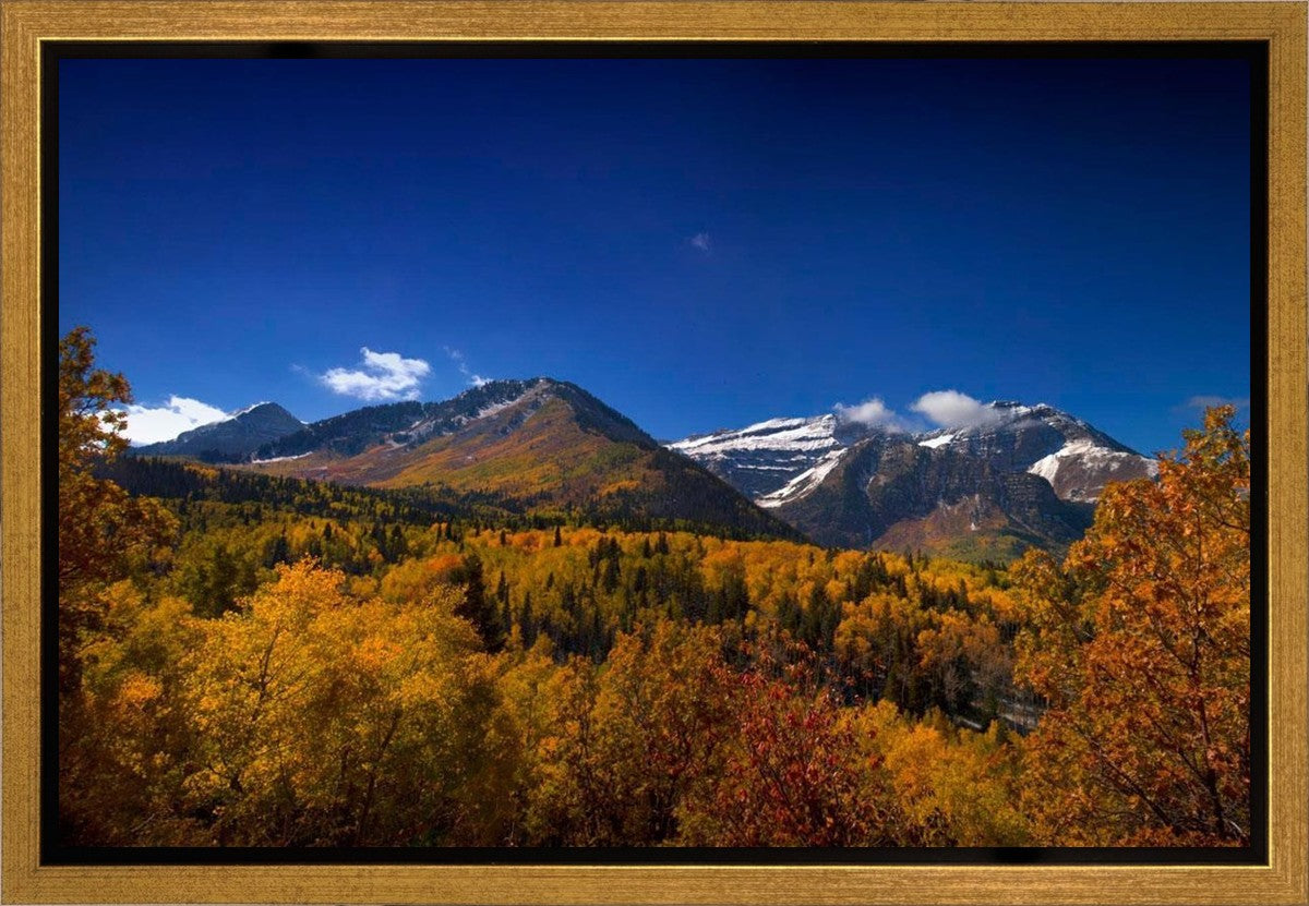 Back Side Of Timpanogos