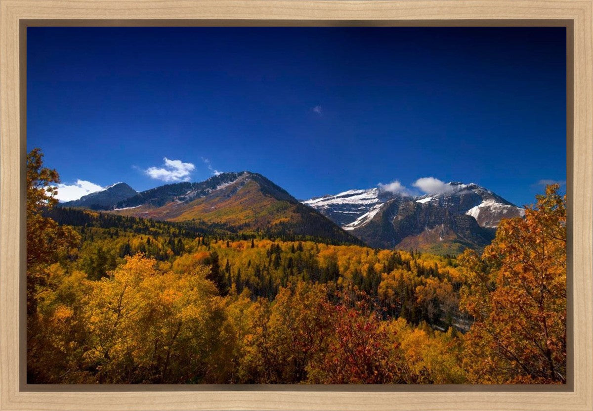 Back Side Of Timpanogos