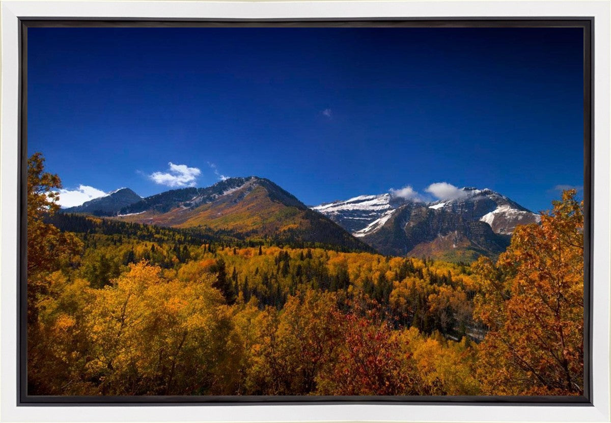 Back Side Of Timpanogos