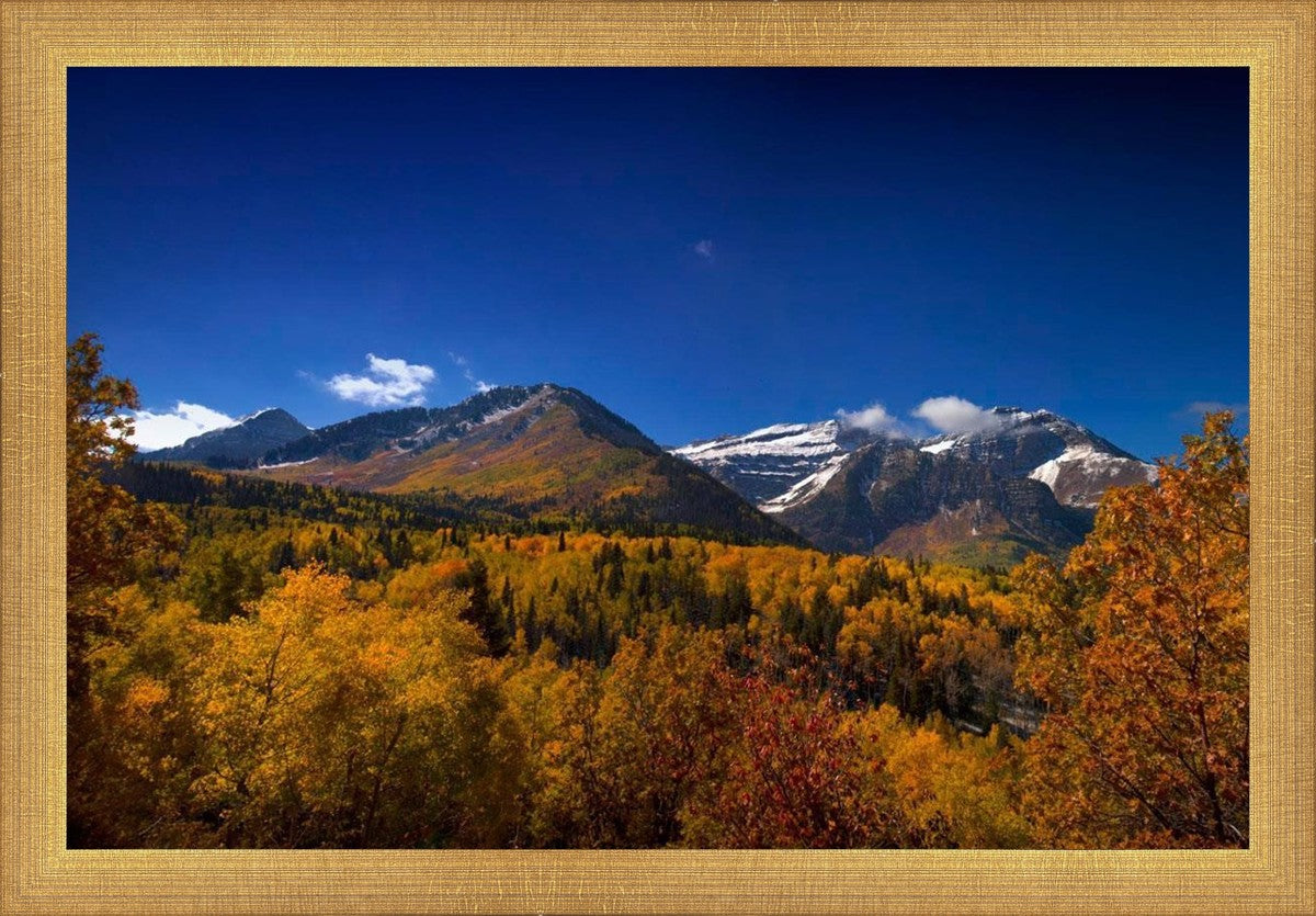 Back Side Of Timpanogos