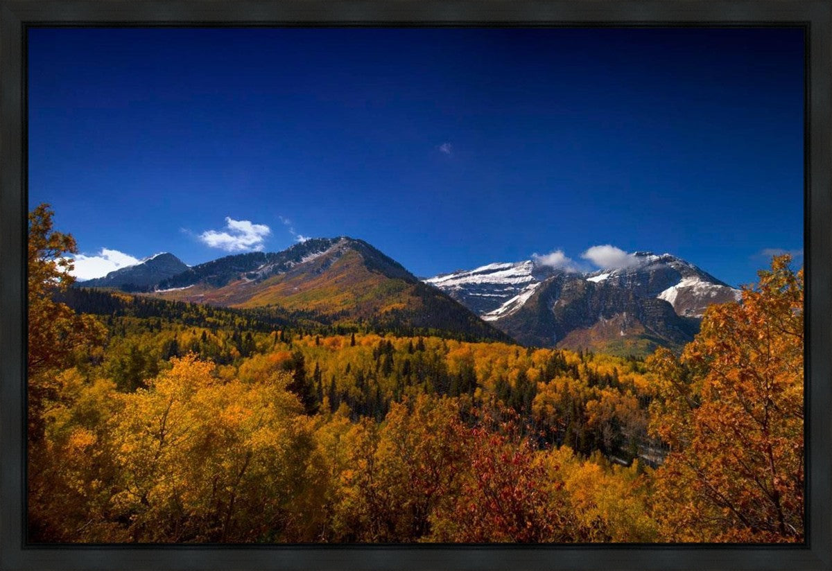 Back Side Of Timpanogos