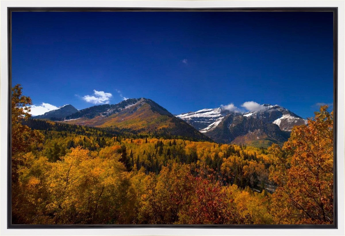 Back Side Of Timpanogos