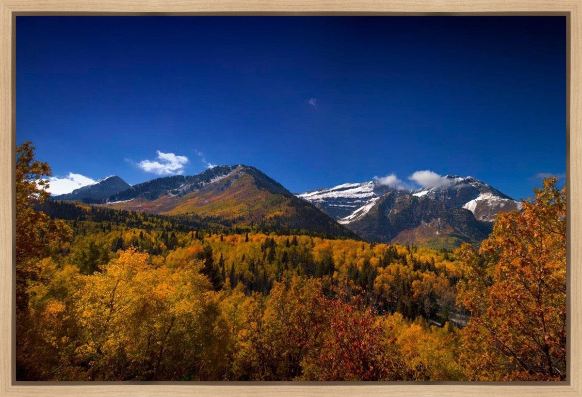 Back Side Of Timpanogos