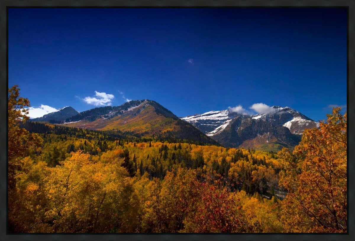 Back Side Of Timpanogos