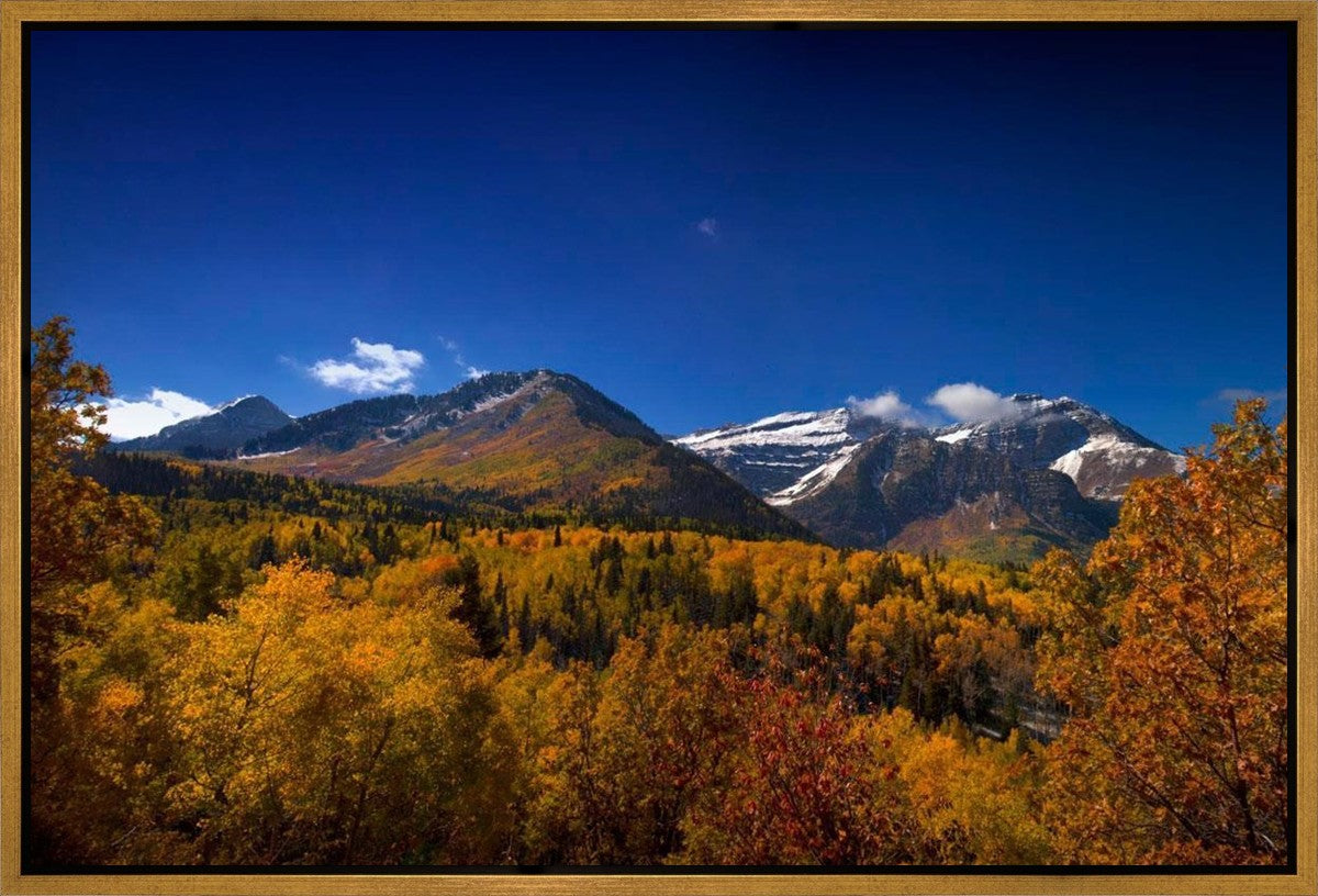 Back Side Of Timpanogos