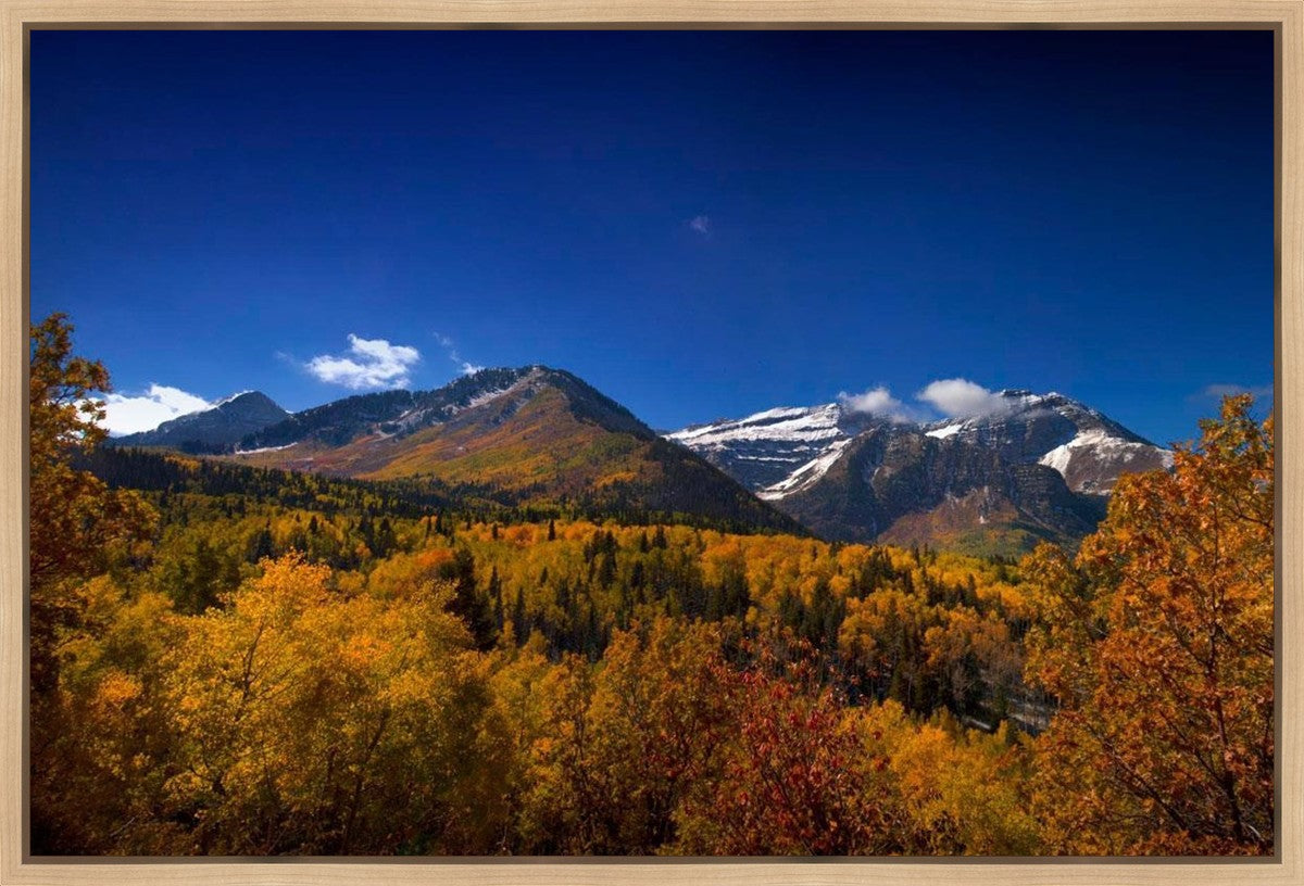 Back Side Of Timpanogos