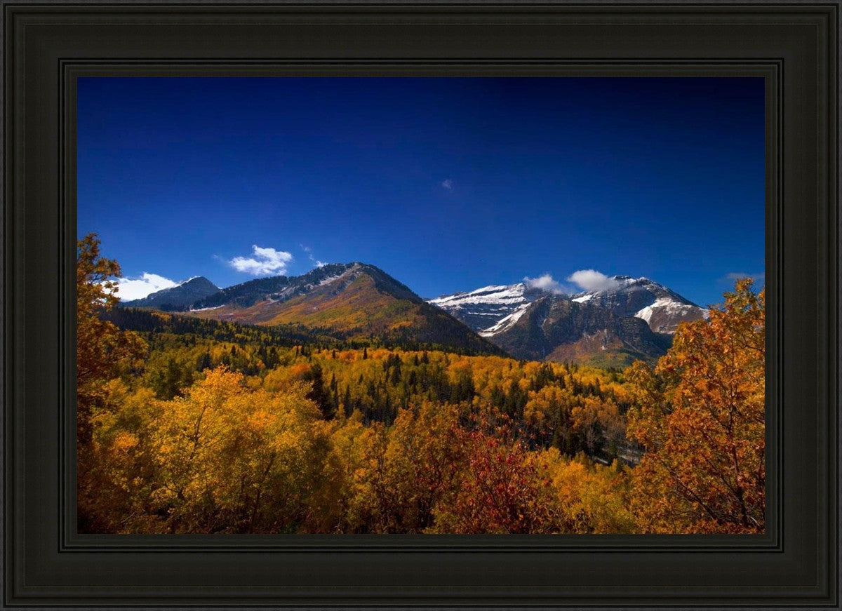 Back Side Of Timpanogos