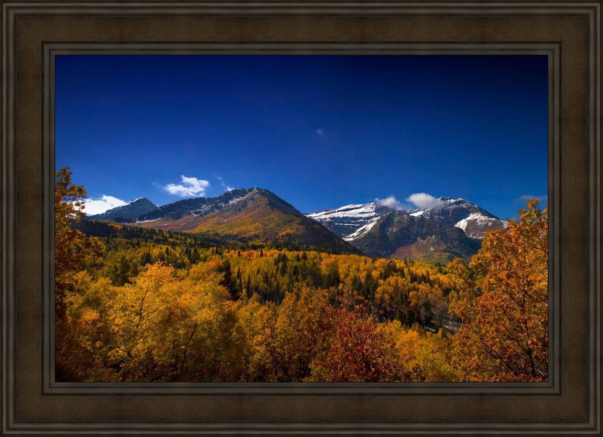 Back Side Of Timpanogos