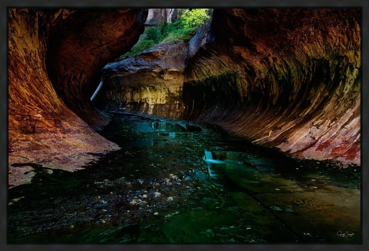 Zion's Abyss