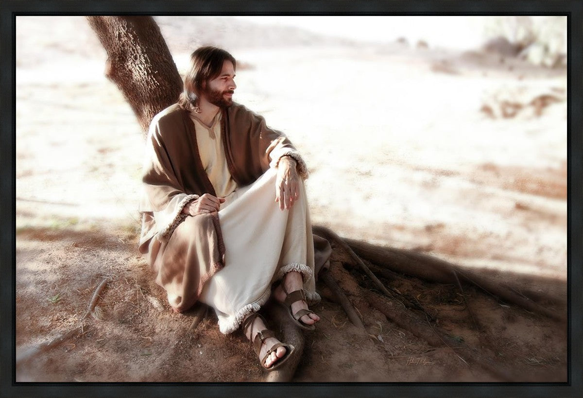 The Solitude of Christ