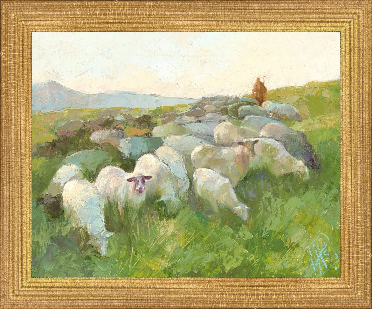 In The Care of The Shepherd