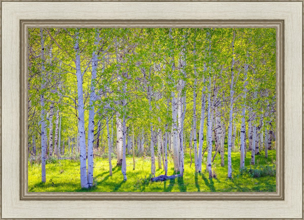Early Morning Light in the Wasatch Backcountry