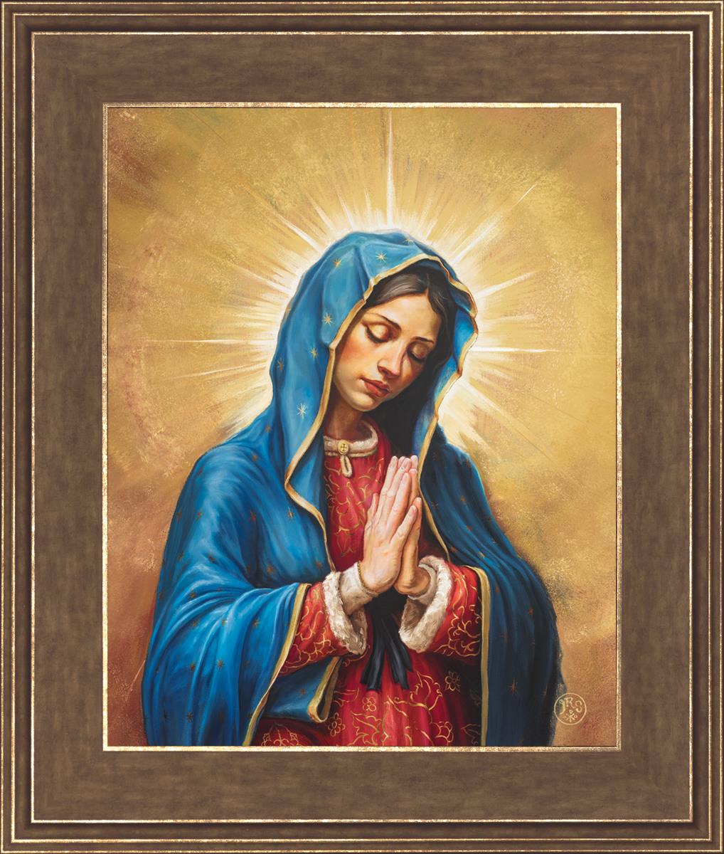 Our Rose of Tepeyac