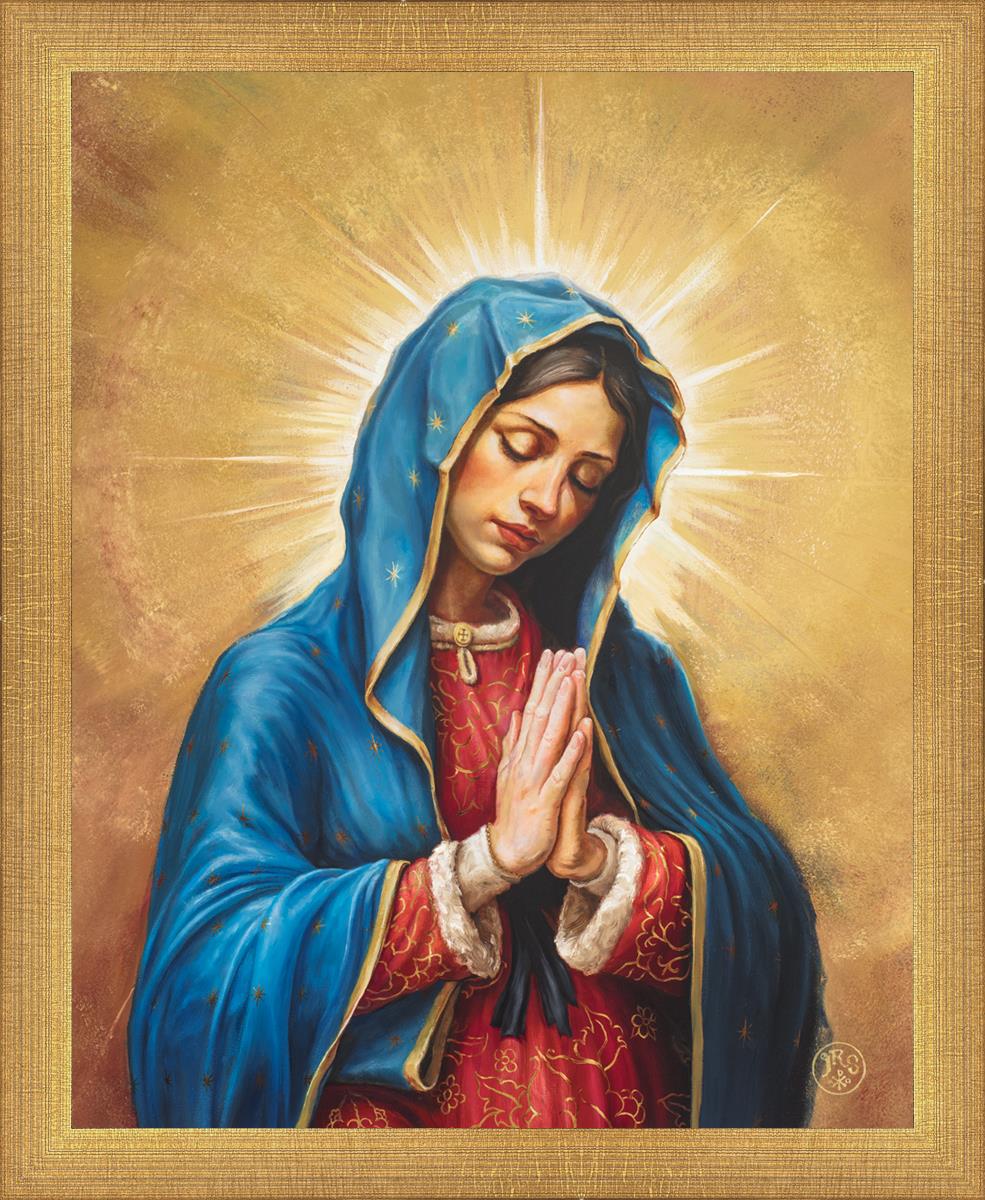 Our Rose of Tepeyac