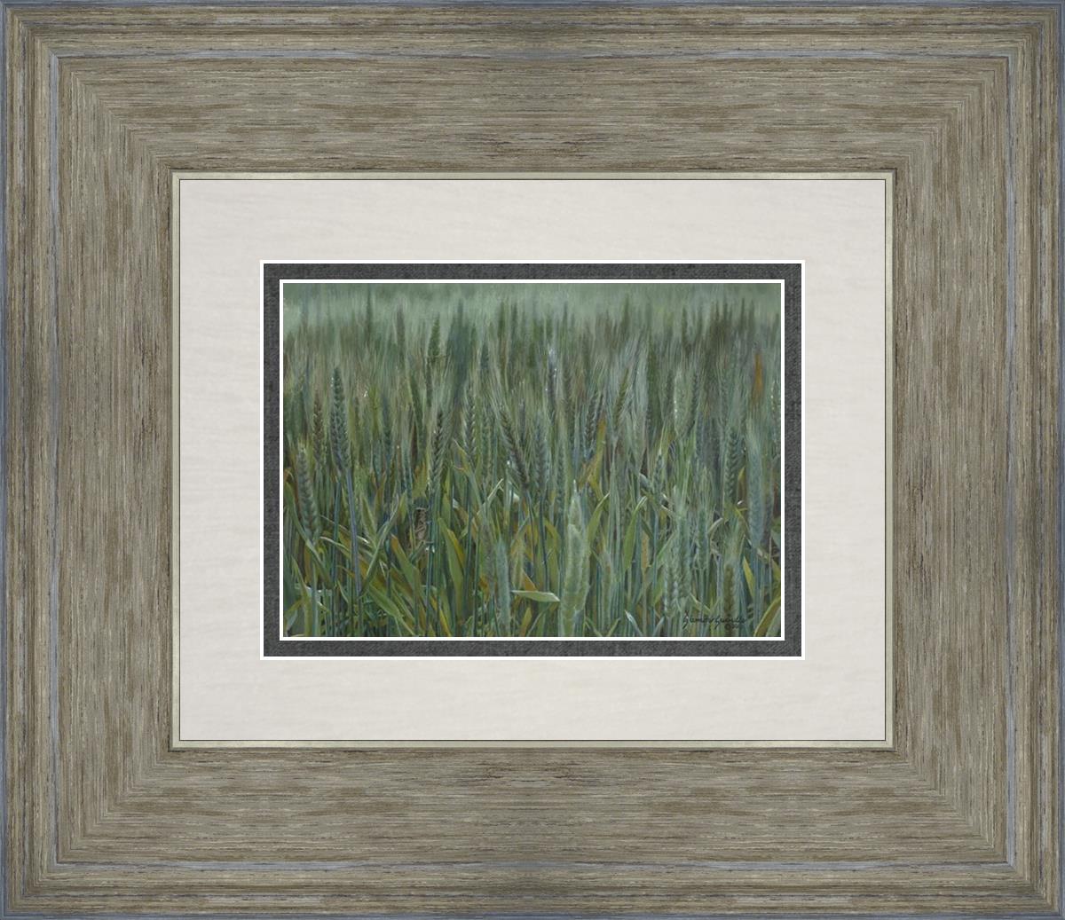 The Wheat And The Tares