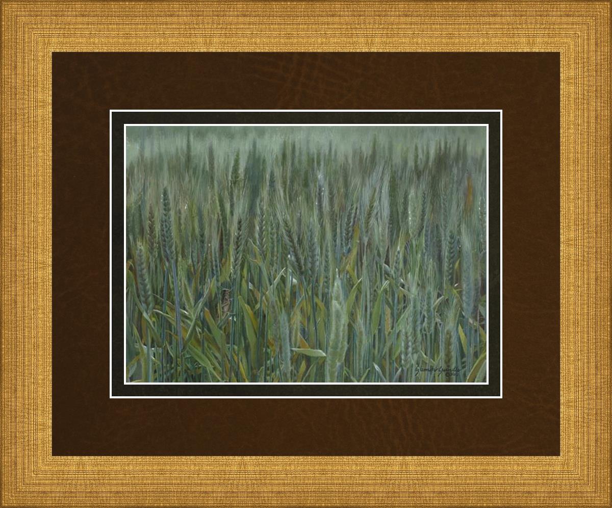 The Wheat And The Tares