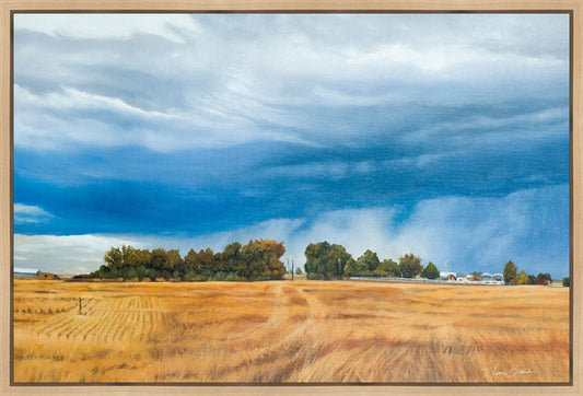Stormy Skies