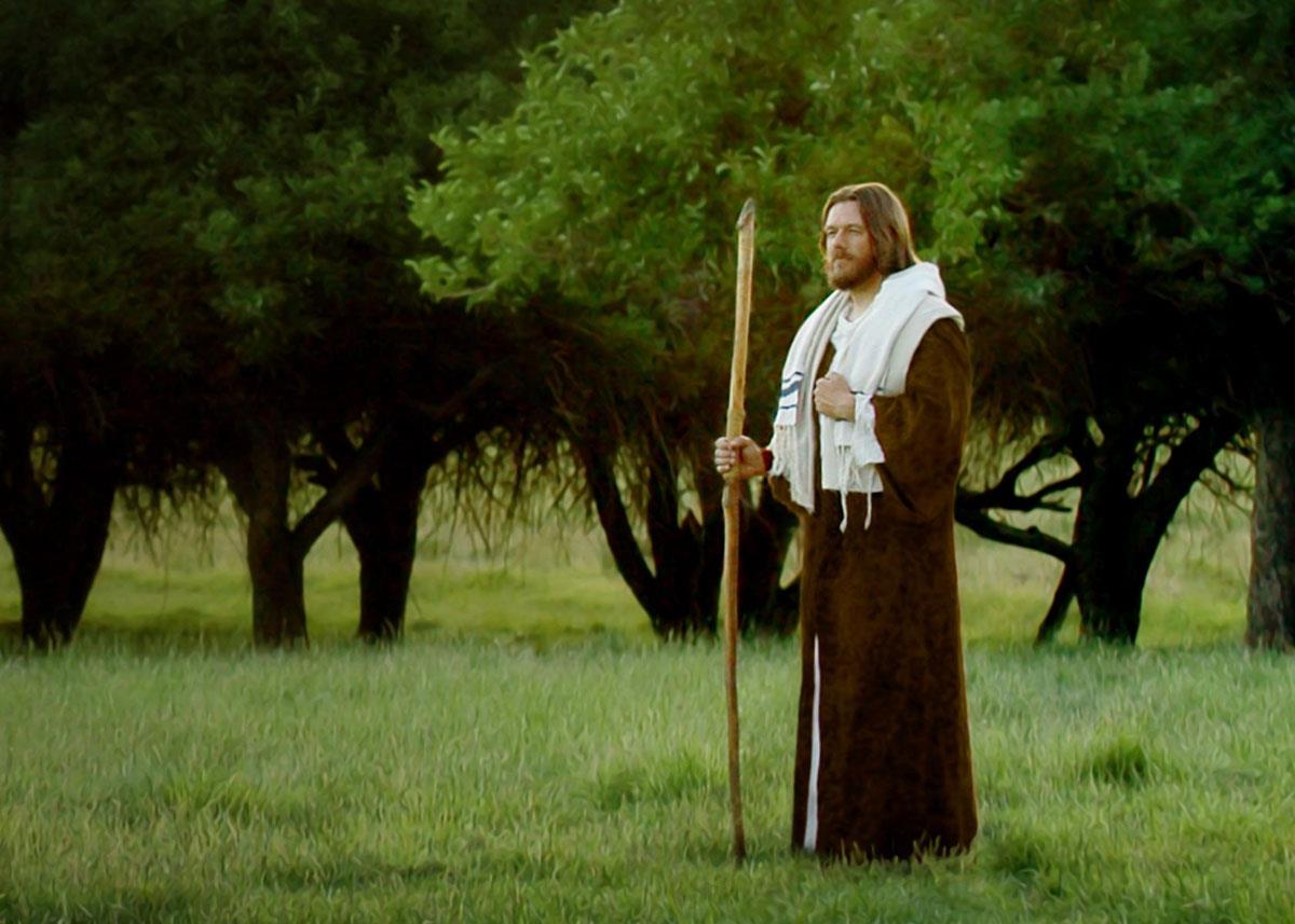 Lord Of The Vineyard