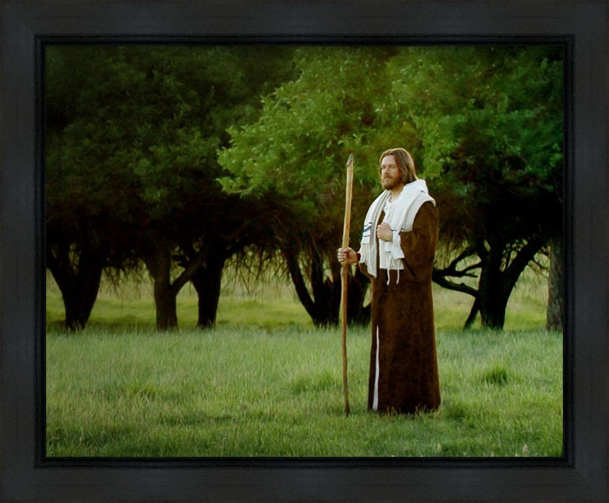 Lord Of The Vineyard