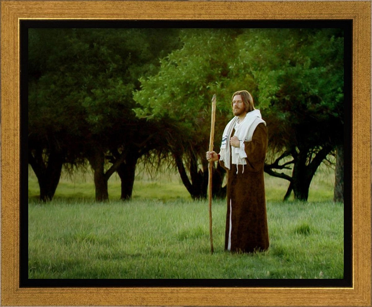 Lord Of The Vineyard