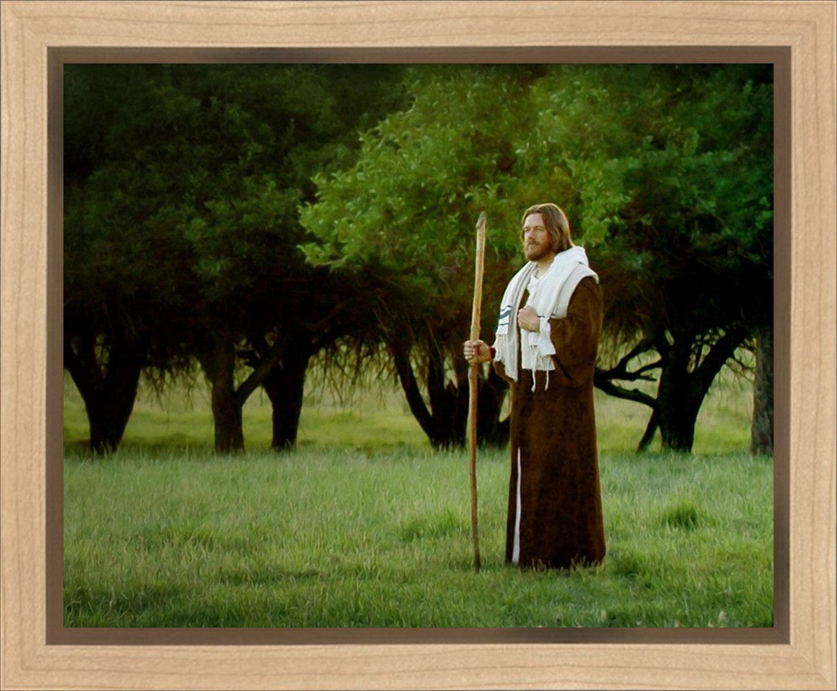 Lord Of The Vineyard