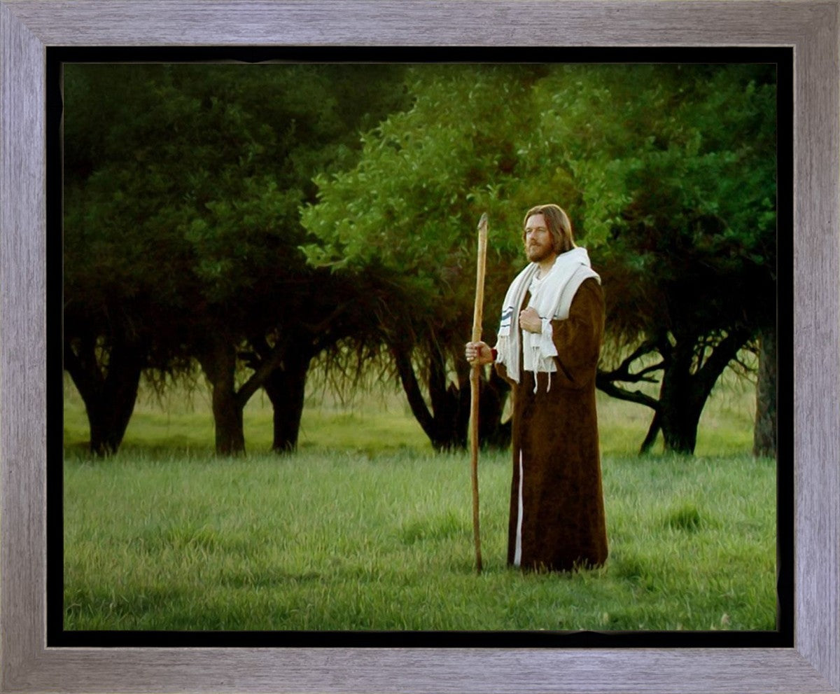 Lord Of The Vineyard