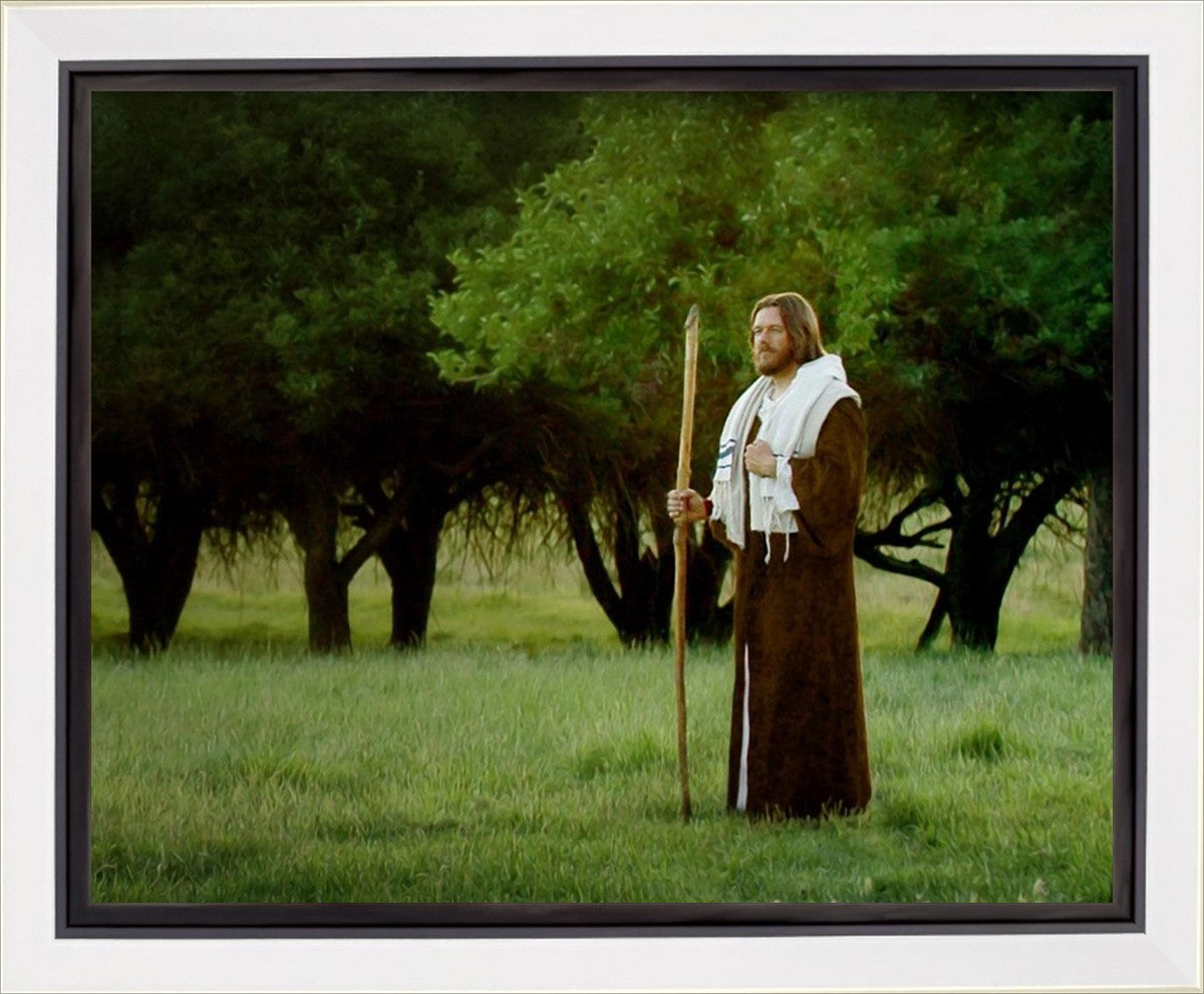 Lord Of The Vineyard