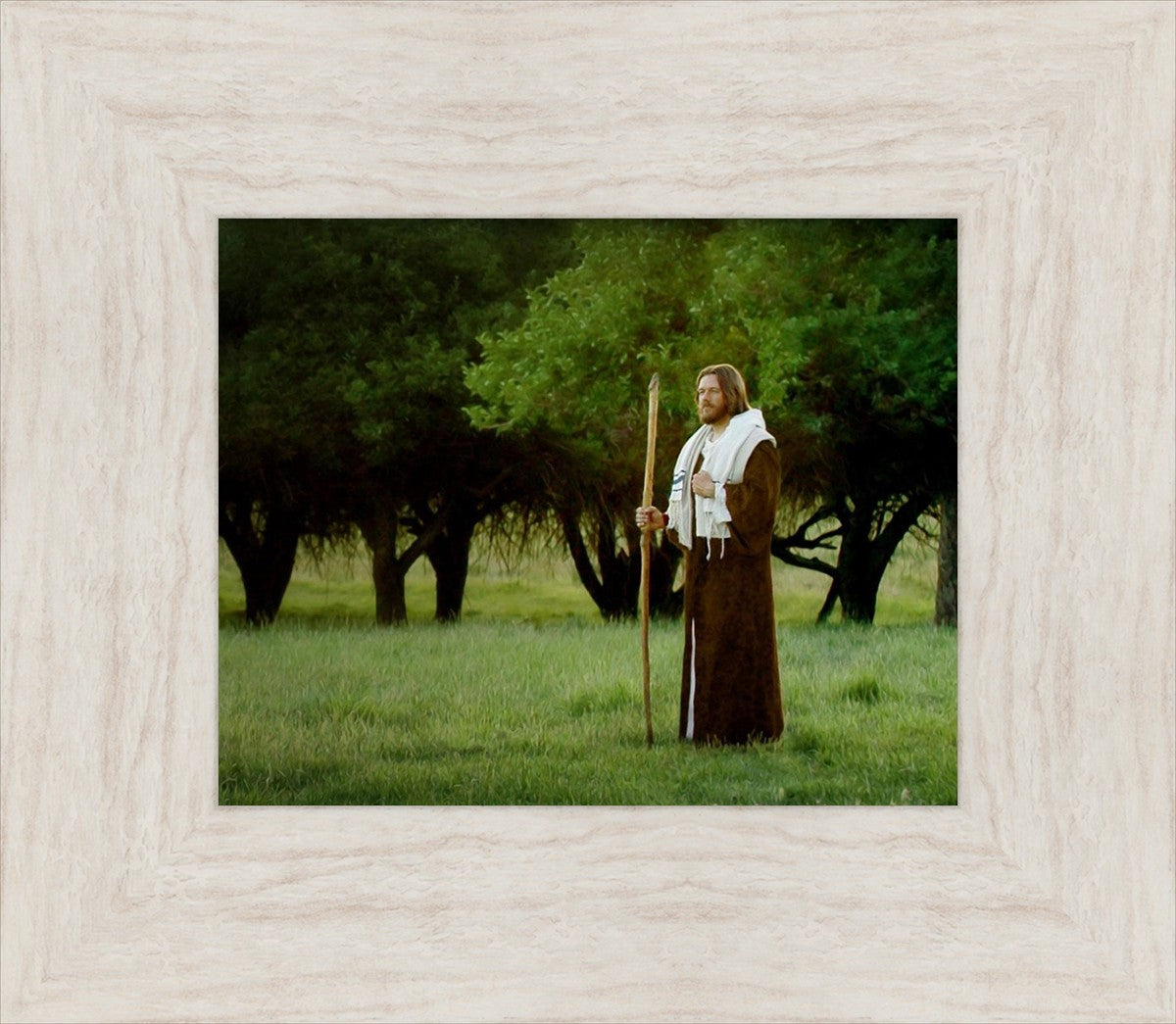 Lord Of The Vineyard