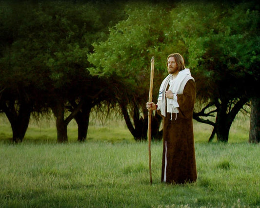 Lord Of The Vineyard