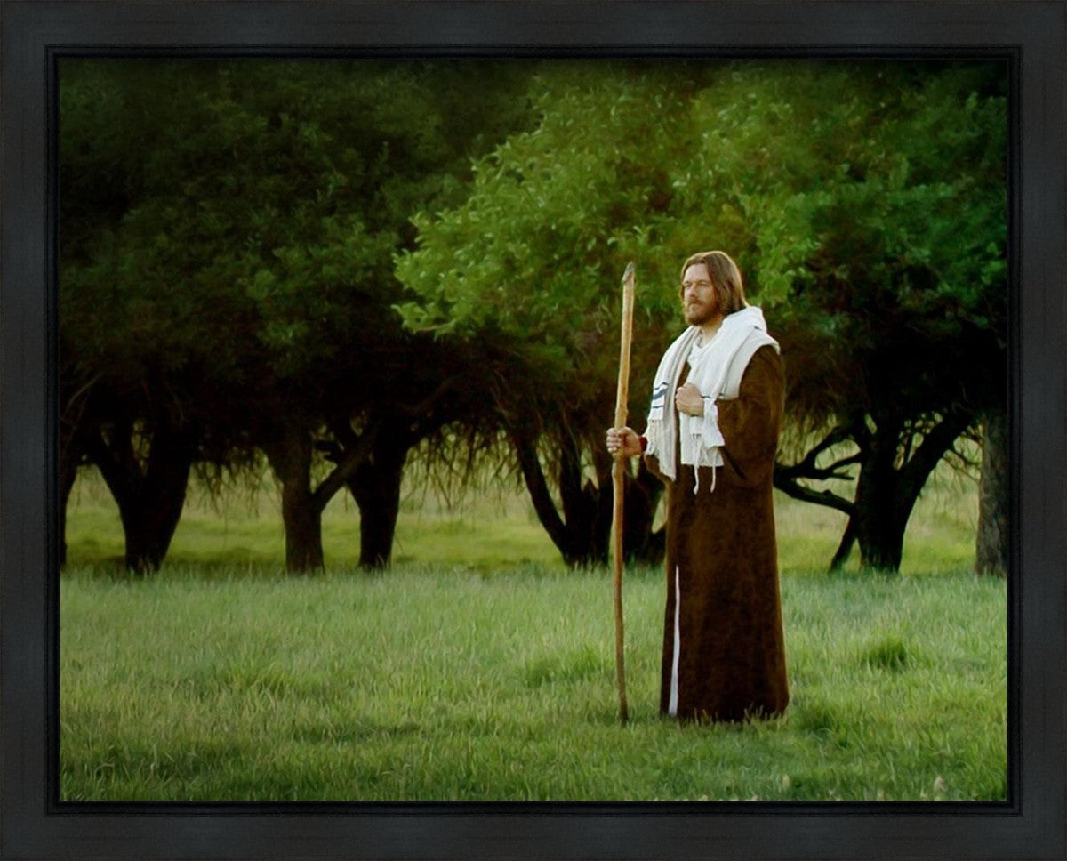 Lord Of The Vineyard