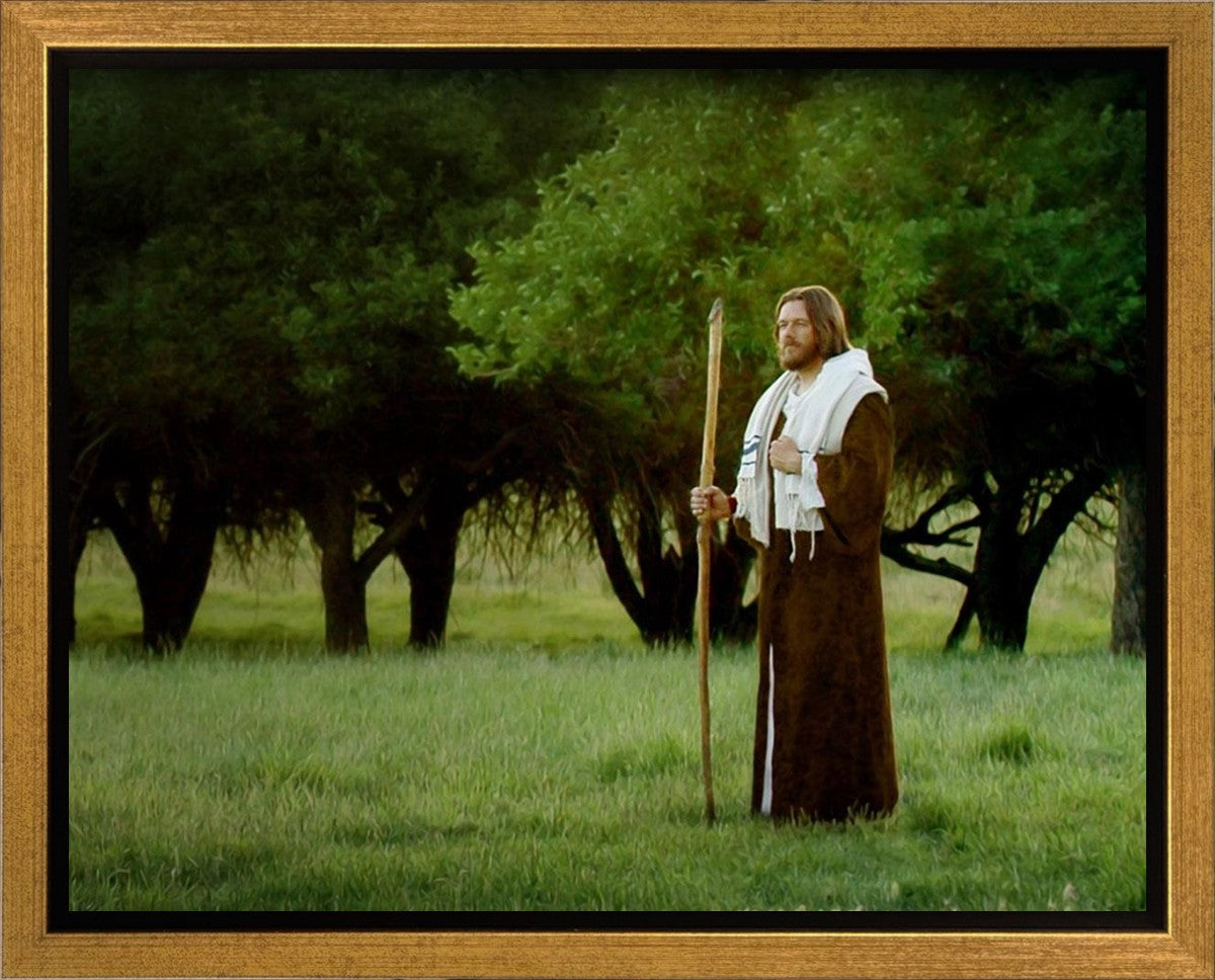 Lord Of The Vineyard