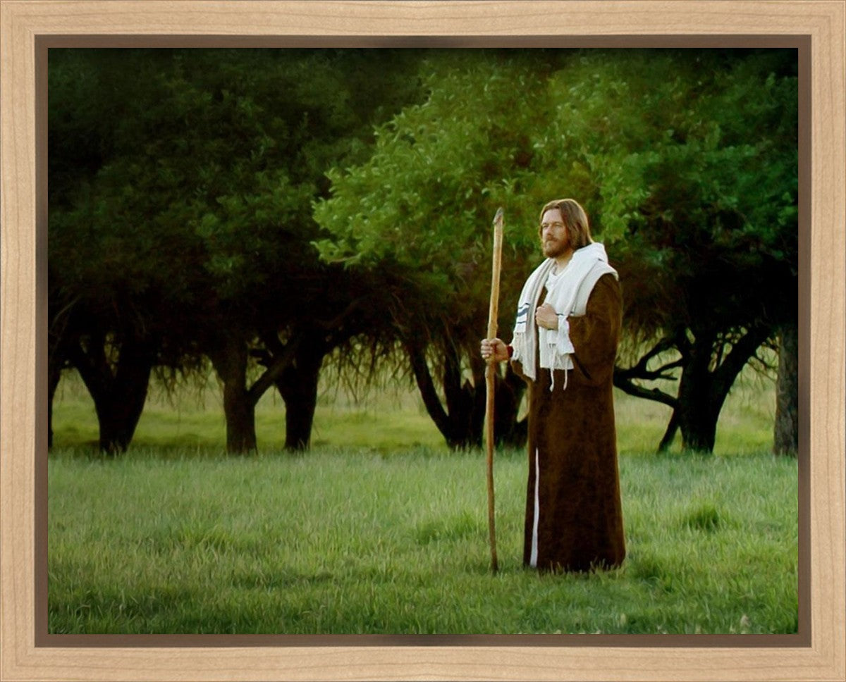 Lord Of The Vineyard