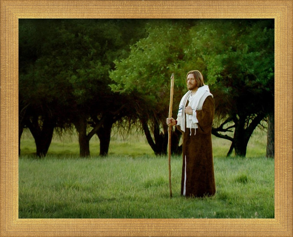 Lord Of The Vineyard