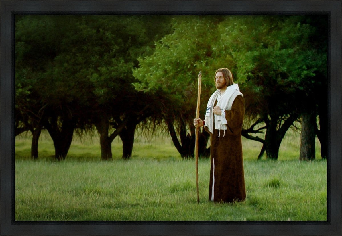 Lord Of The Vineyard