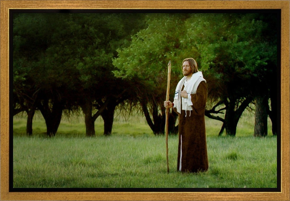 Lord Of The Vineyard