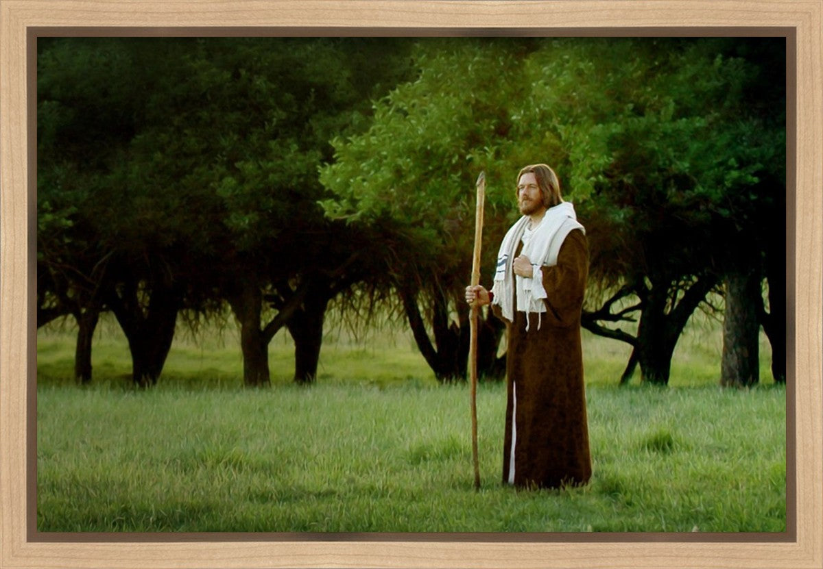 Lord Of The Vineyard