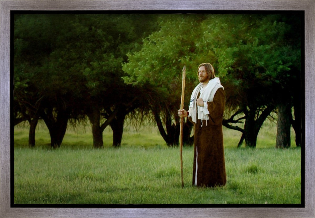 Lord Of The Vineyard