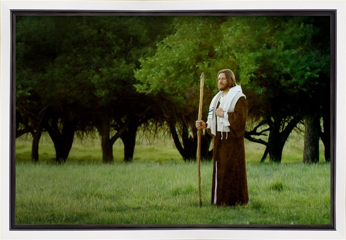 Lord Of The Vineyard