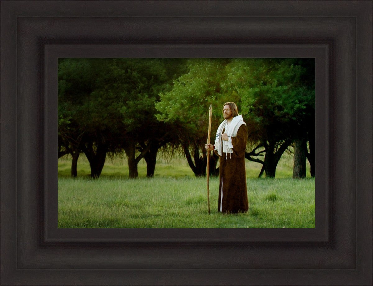 Lord Of The Vineyard