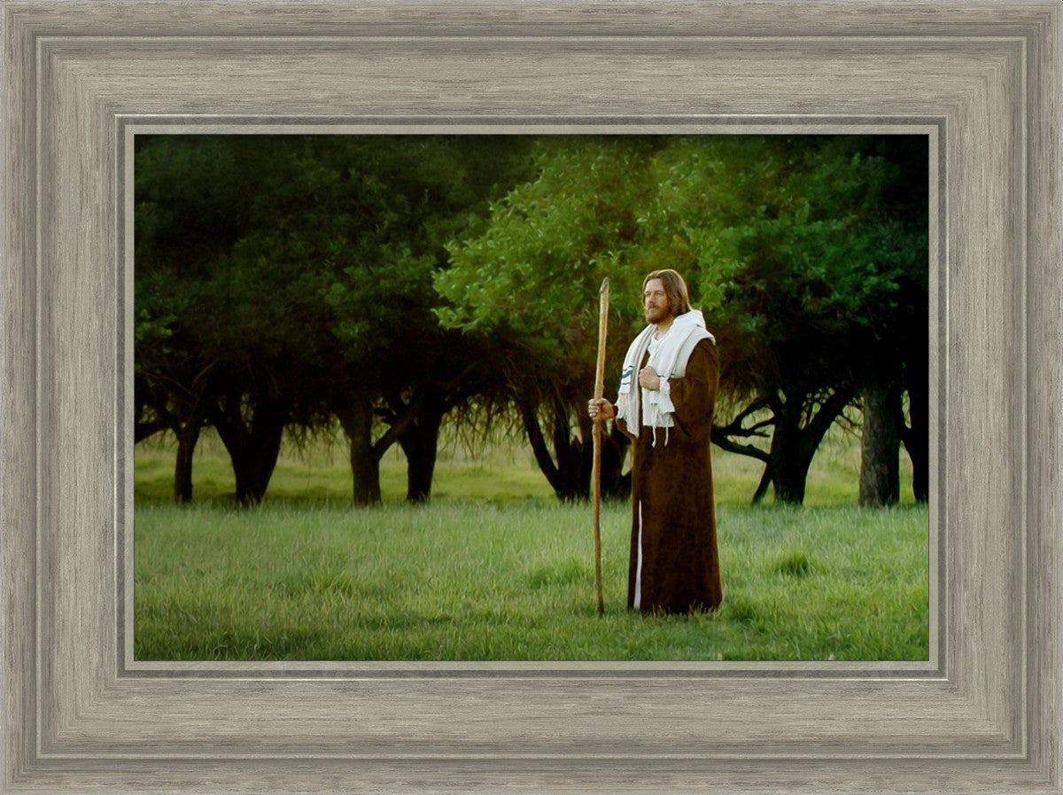 Lord Of The Vineyard