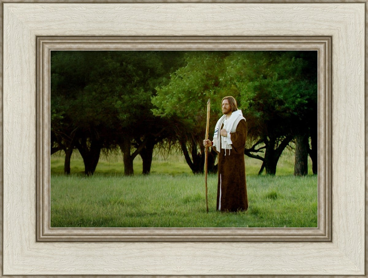 Lord Of The Vineyard