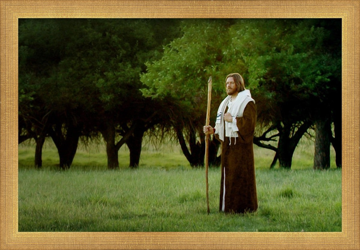 Lord Of The Vineyard