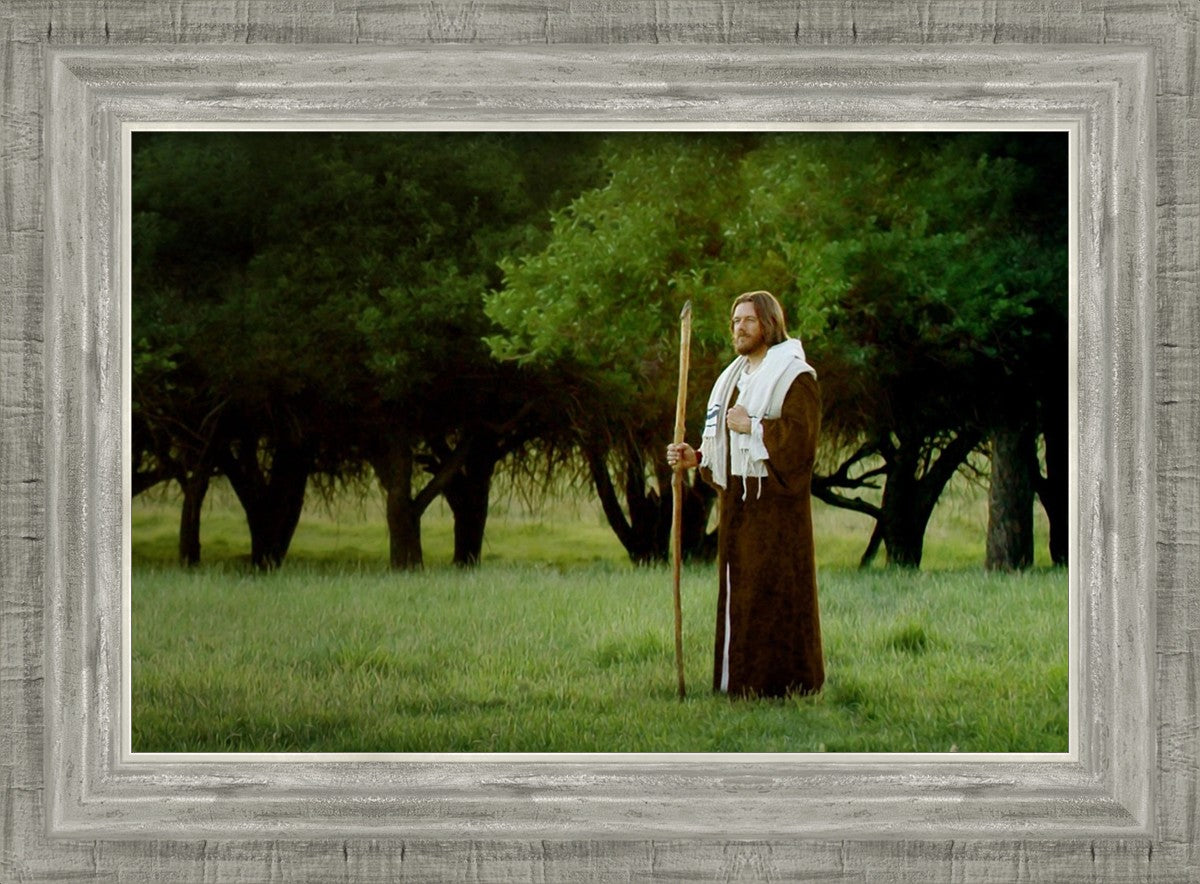 Lord Of The Vineyard