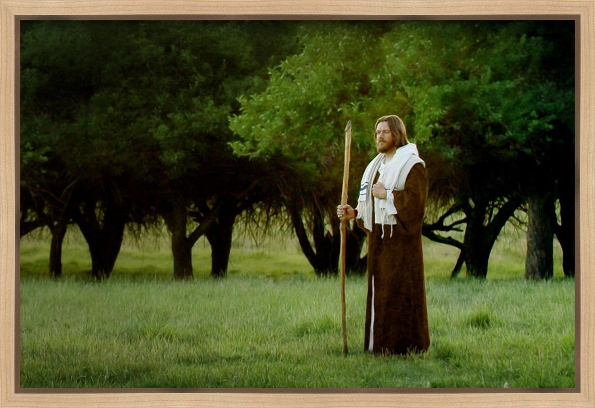 Lord Of The Vineyard