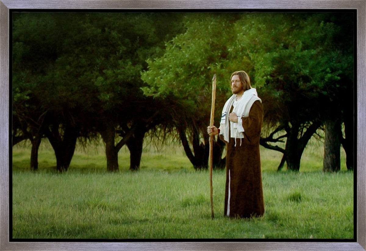 Lord Of The Vineyard