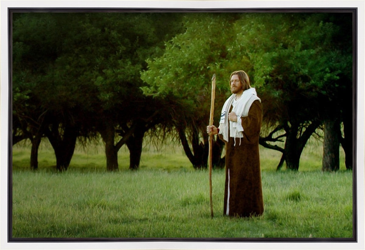 Lord Of The Vineyard