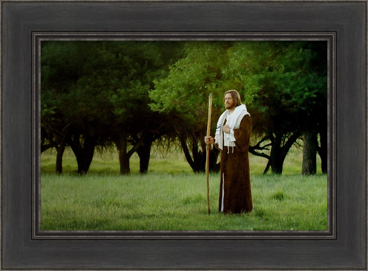 Lord Of The Vineyard